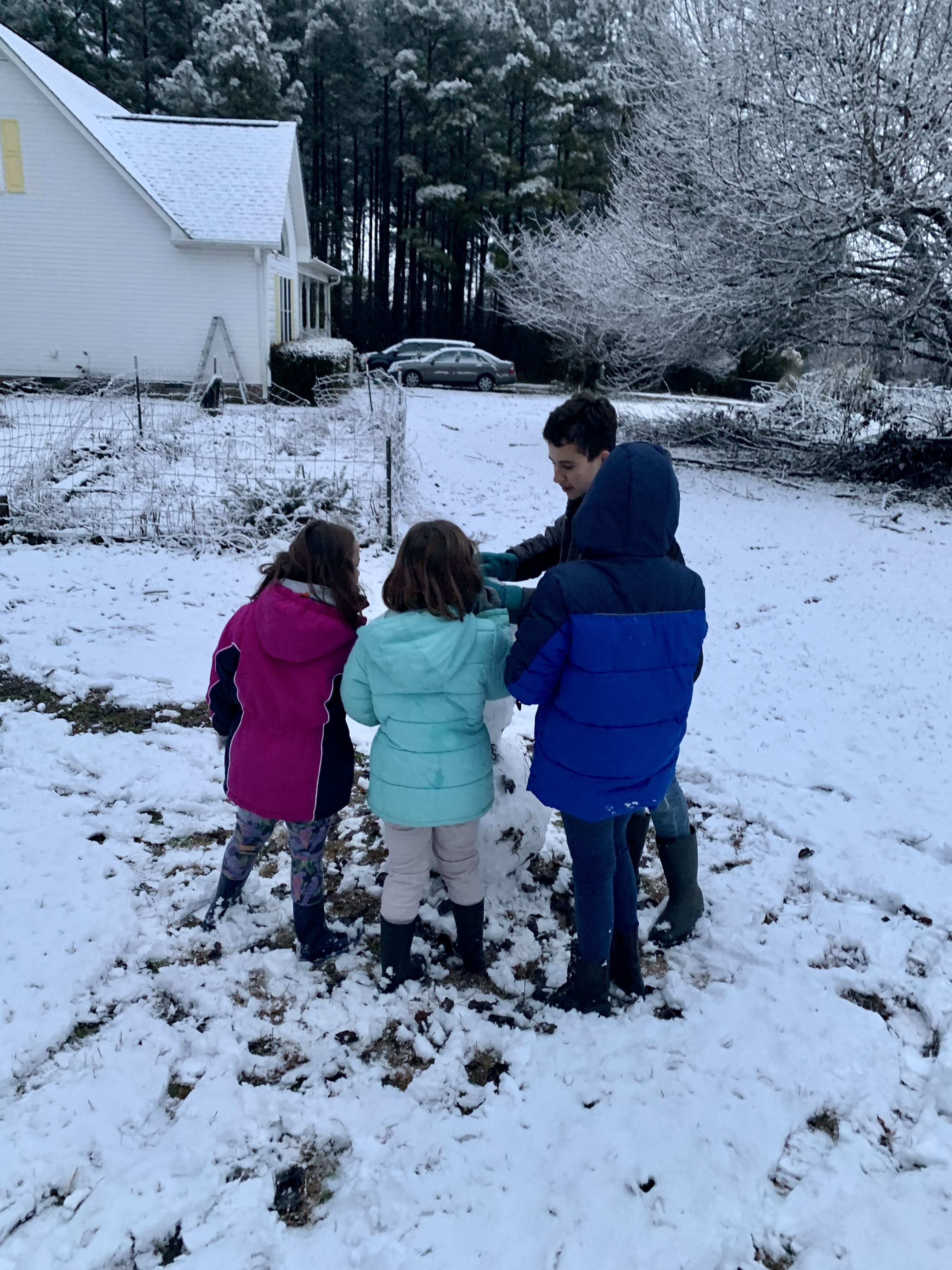 Snow Day